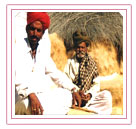 Desert in Rajasthan