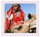 Rajasthan Travel India